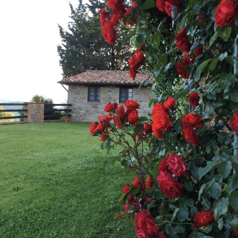 Agriturismo La Bicocca - Apt. "Il Leccio" Castel Rigone Δωμάτιο φωτογραφία